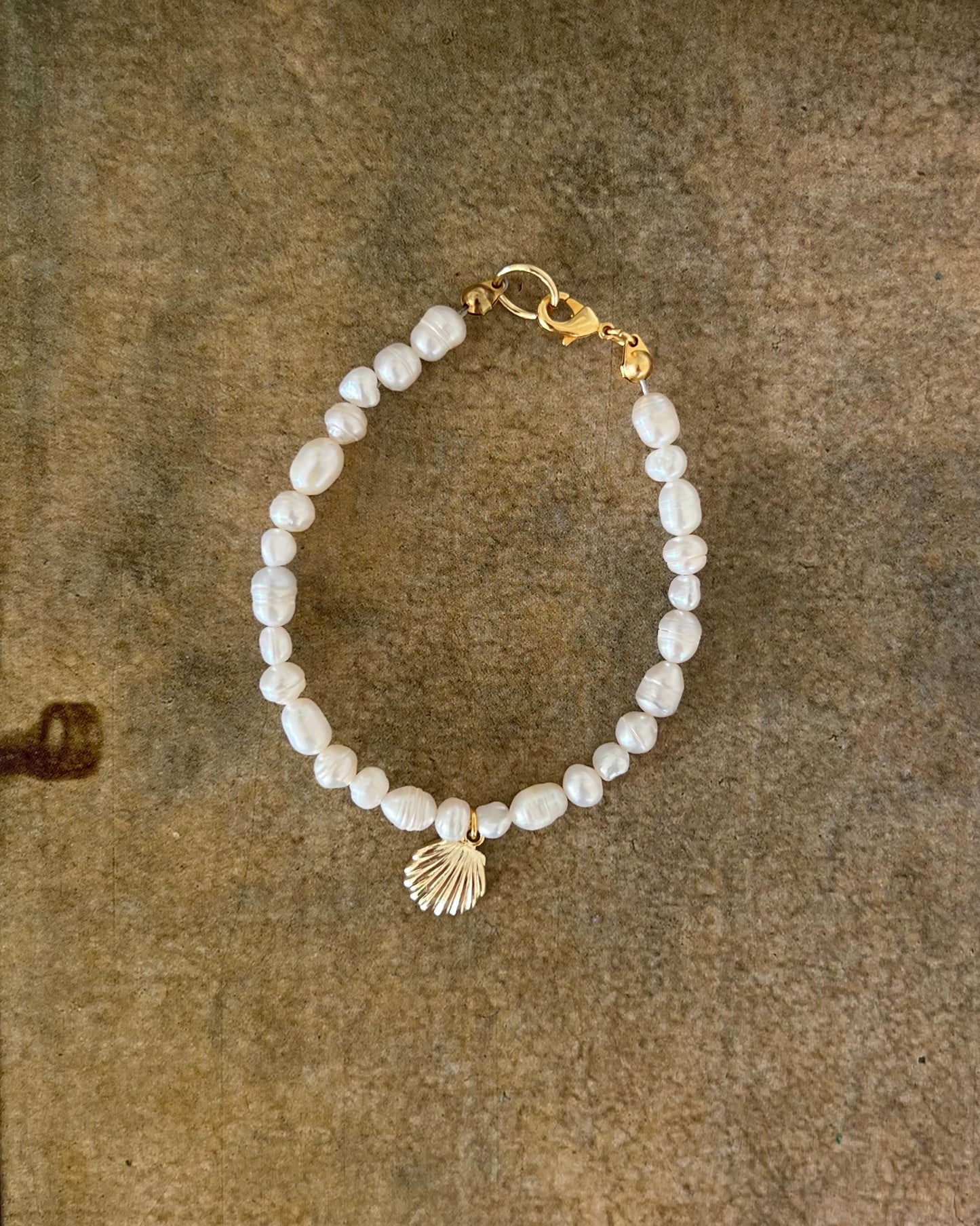 Shell Bracelet