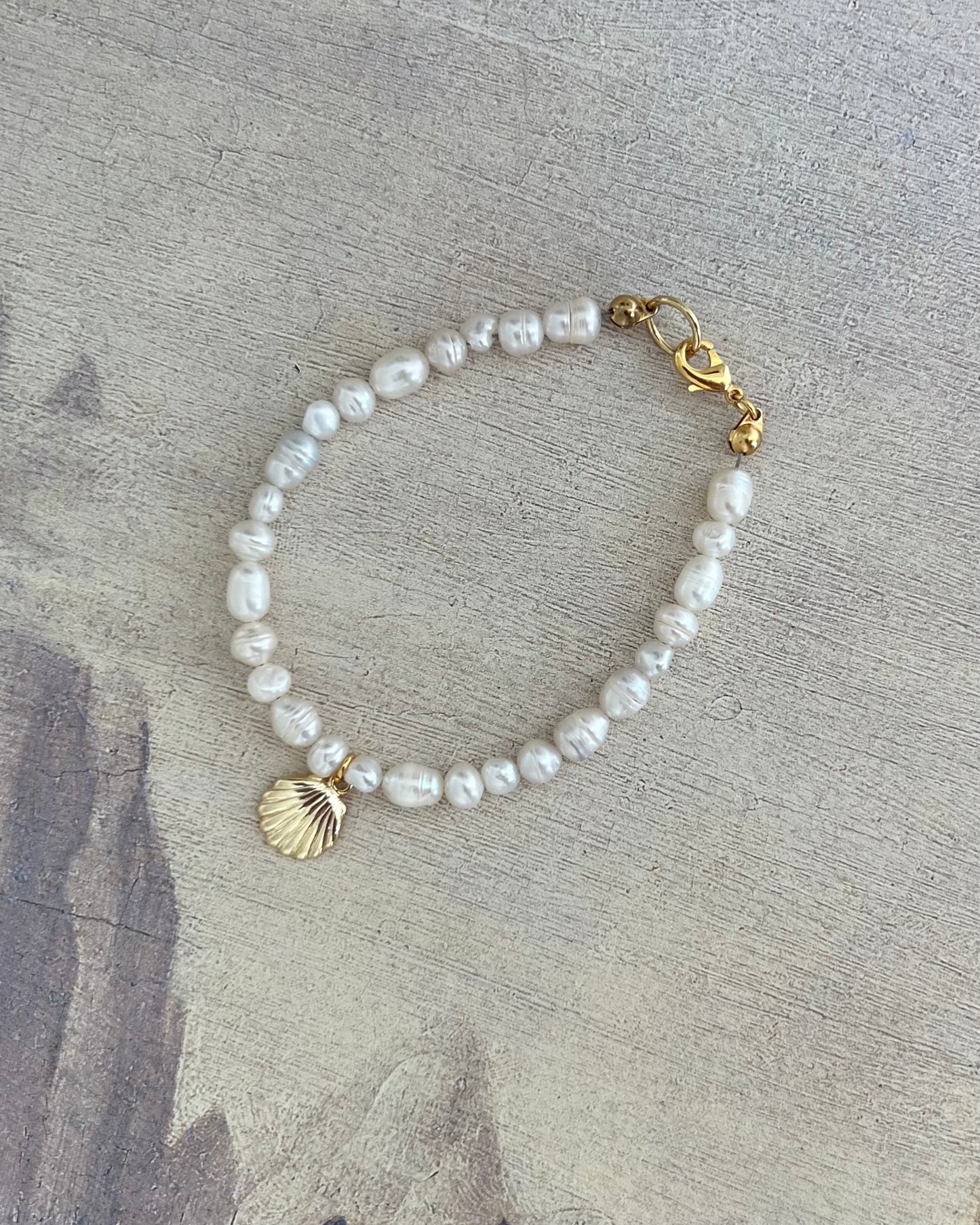 Shell Bracelet