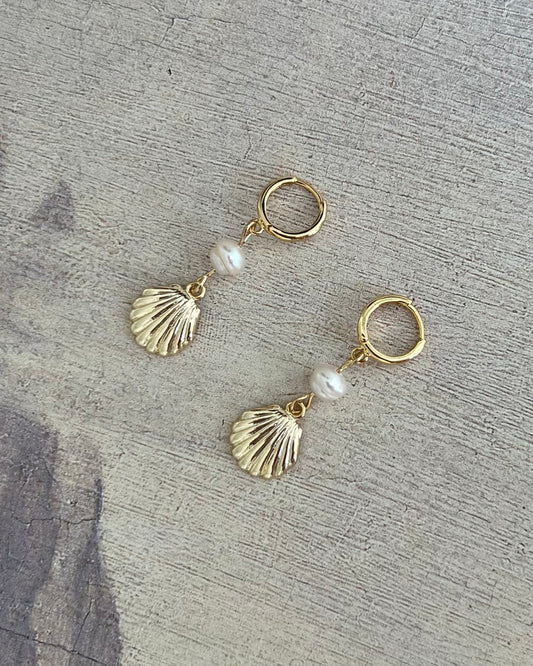 Shell Earrings